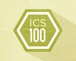 114 ics100 course