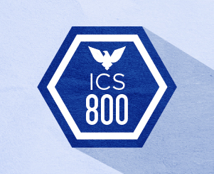 119 ics800 course