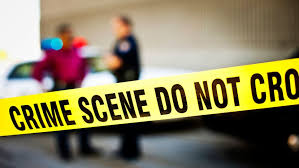 Complete crime scene investigation image cbii