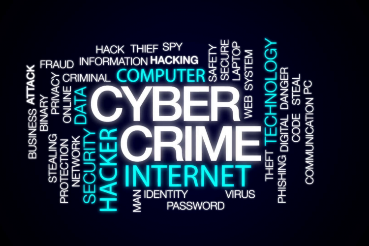 Cyber crime