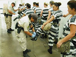 Inmate rights and privileges 3502 tcole oss academy texas peace officers jailer online training pd