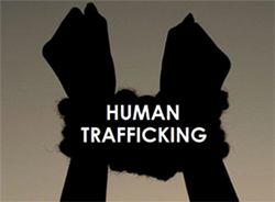 Pd human trafficking crimes tcole oss academy texas peace officers jailers telecommunicators online training